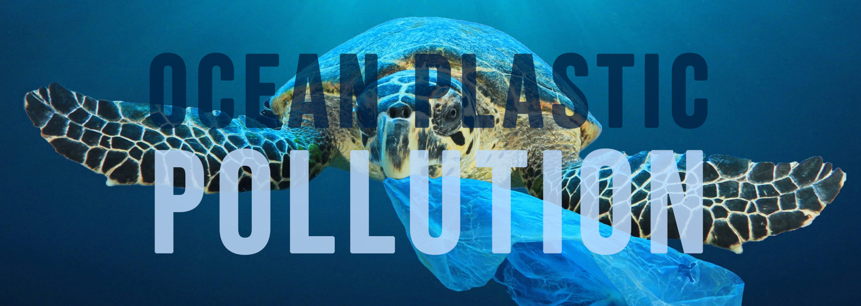 oceanplasticpollution