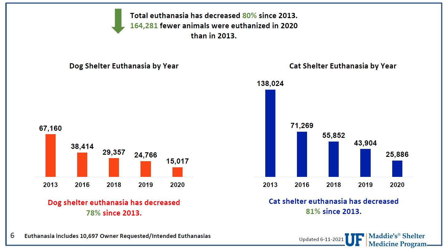 Image of a euthanasia graph from UF