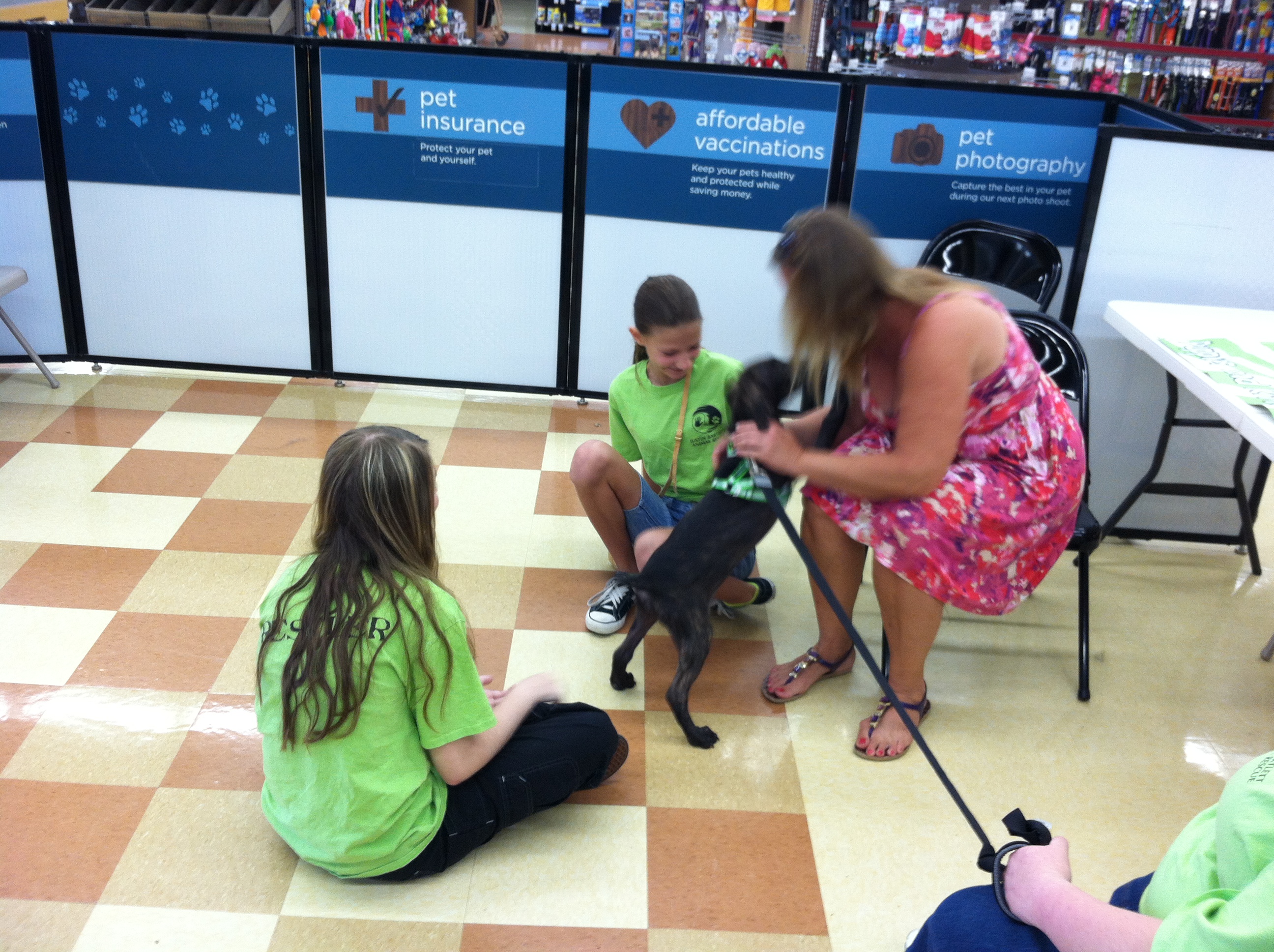 image of a young girl volunteering at an animal rescue shelter