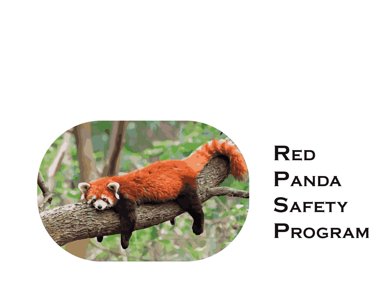 image of Red Panda Safetly Team