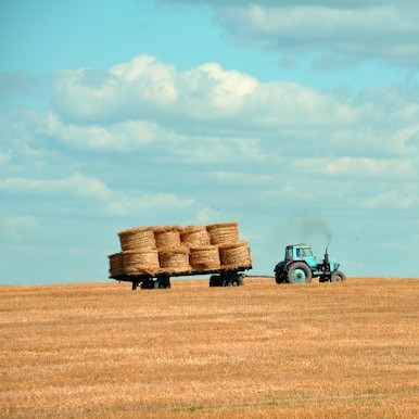 Tractor, Gozha Net